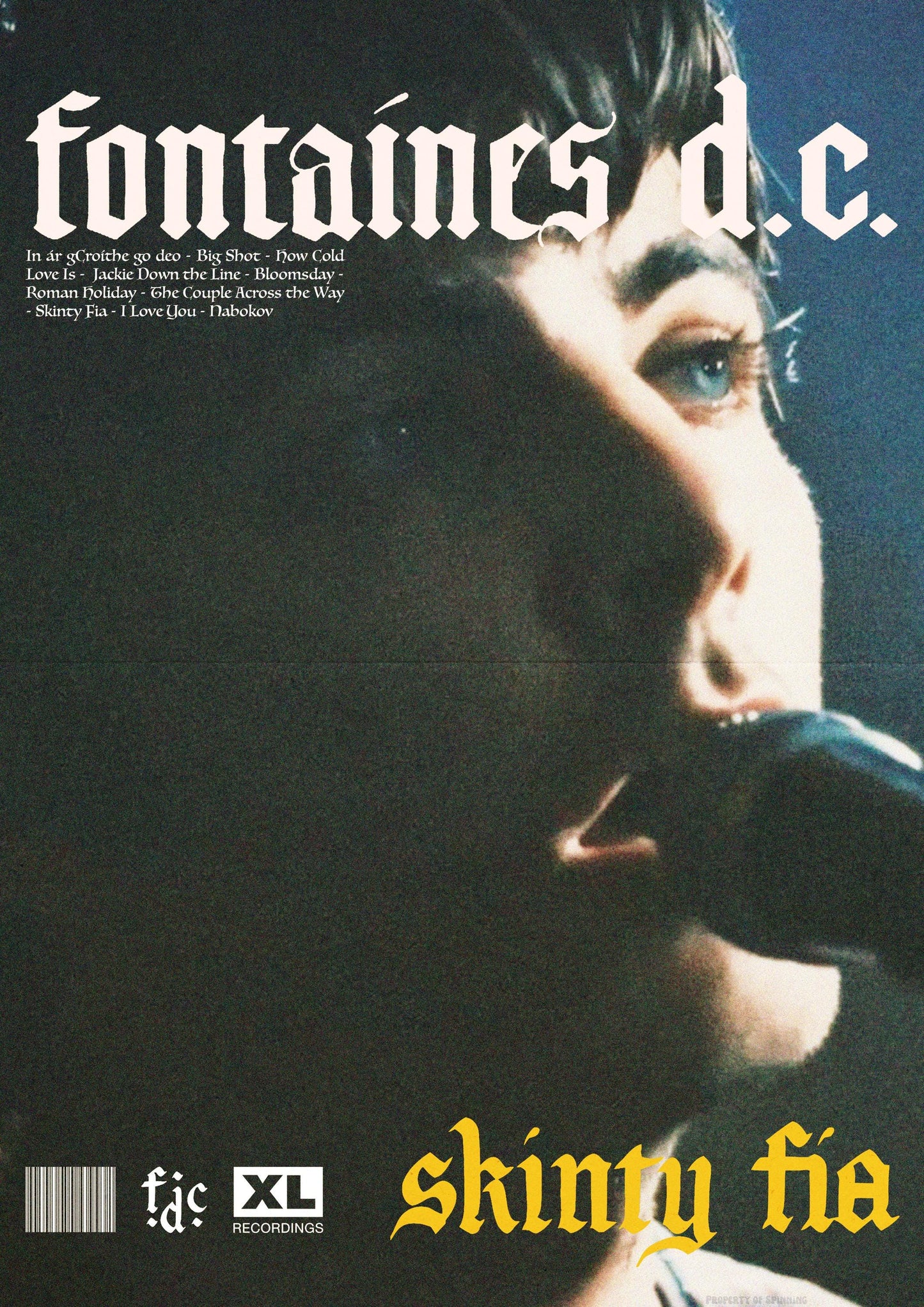 Fontaines D.C. A3 Music Poster - Post-Punk Band Print, Indie Rock Art, Modern Music Decor, Gift for Fontaines D.C. Fans